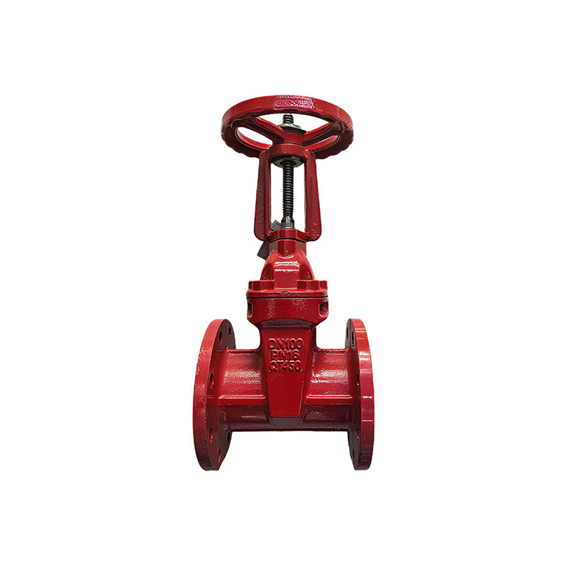 Flange Rising Stem Soft Seal Gate Valve